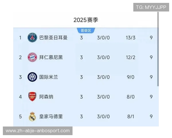 意甲球队历年在欧冠联赛中的收入数据统计