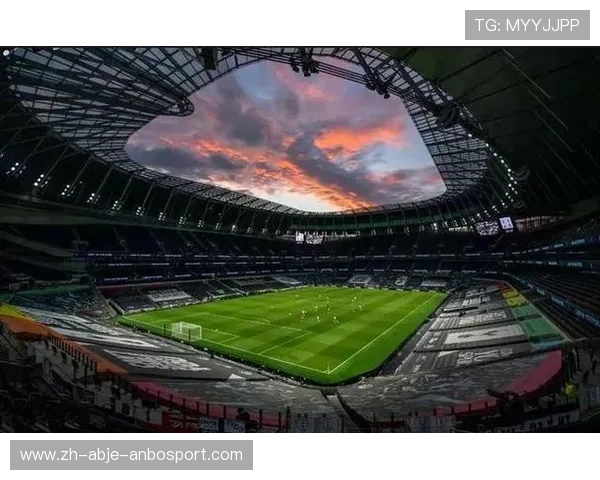 英超球队若伟奇的影响力与贡献